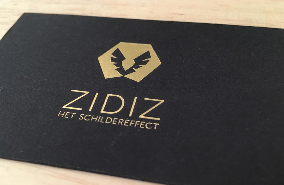 logo ontwerp voor schilder Zidiz te Halle / Brussel
