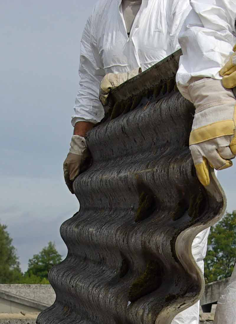 webdesign en SEO optimalisatie voor asbestdeskundige Tessadvies