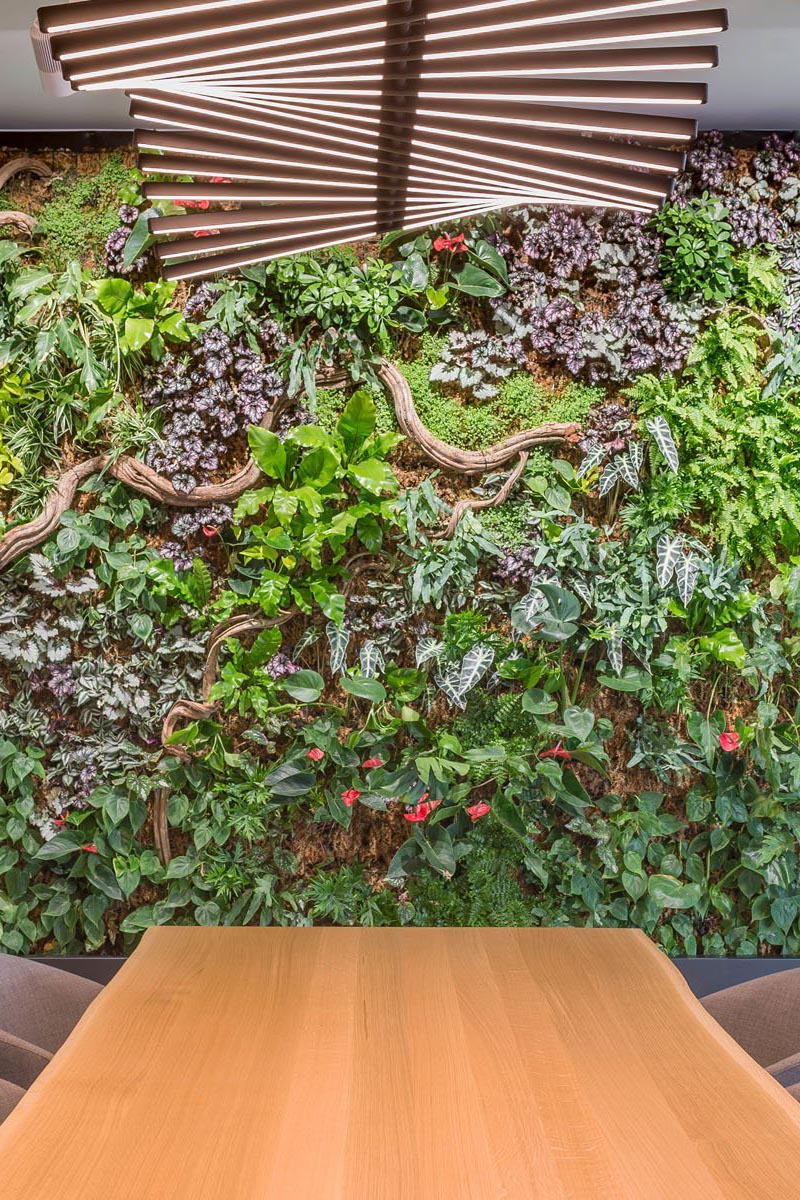 webdesign en SEO optimalisatie voor Vice Verda