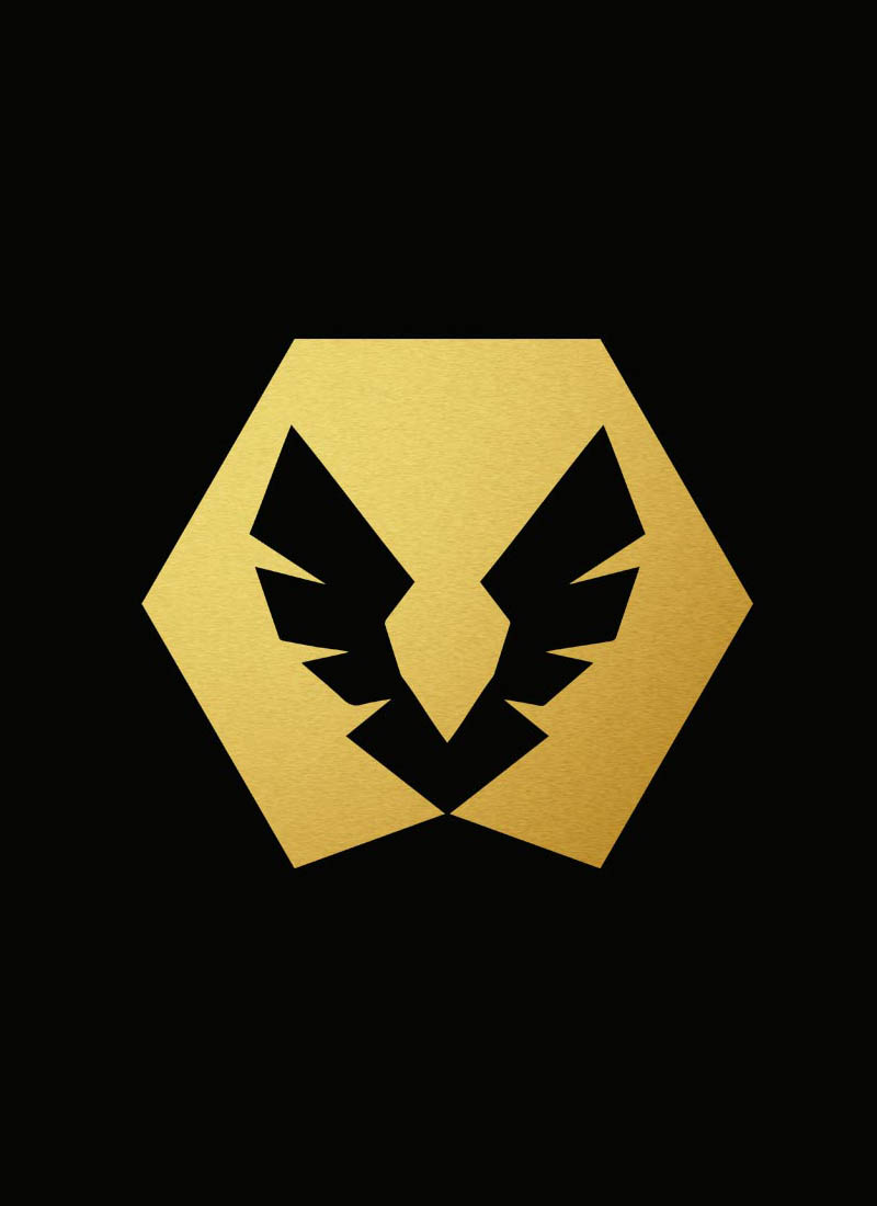 webdesign en SEO optimalisatie voor Zidiz schilder Vlaams-Brabant